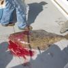 Alaska 2006 055
